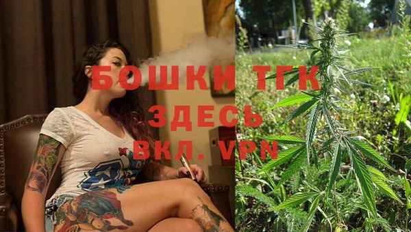 кокс Богородицк
