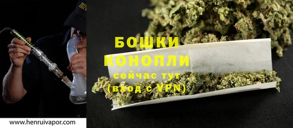 прущая мука Пересвет