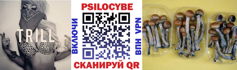 Псилоцибиновые грибы мицелий Купить где Алзамай