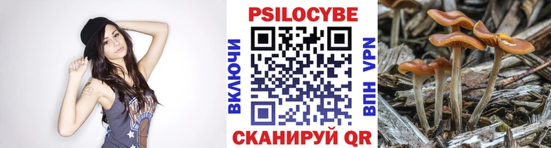 Галлюциногенные грибы Psilocybine cubensis Алзамай
